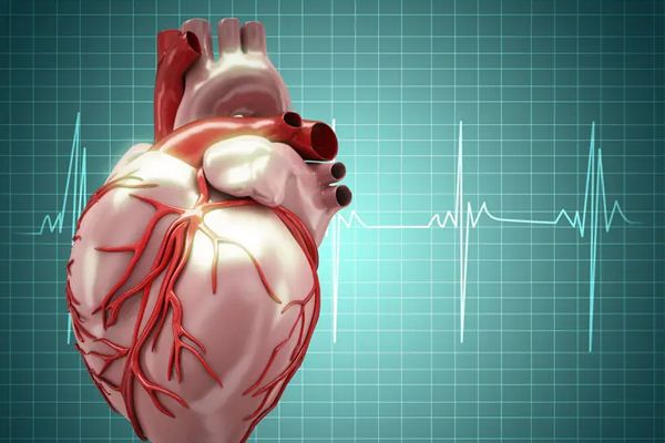 Diagnostic Techniques in Cardiology: Tools for a Healthy Heart