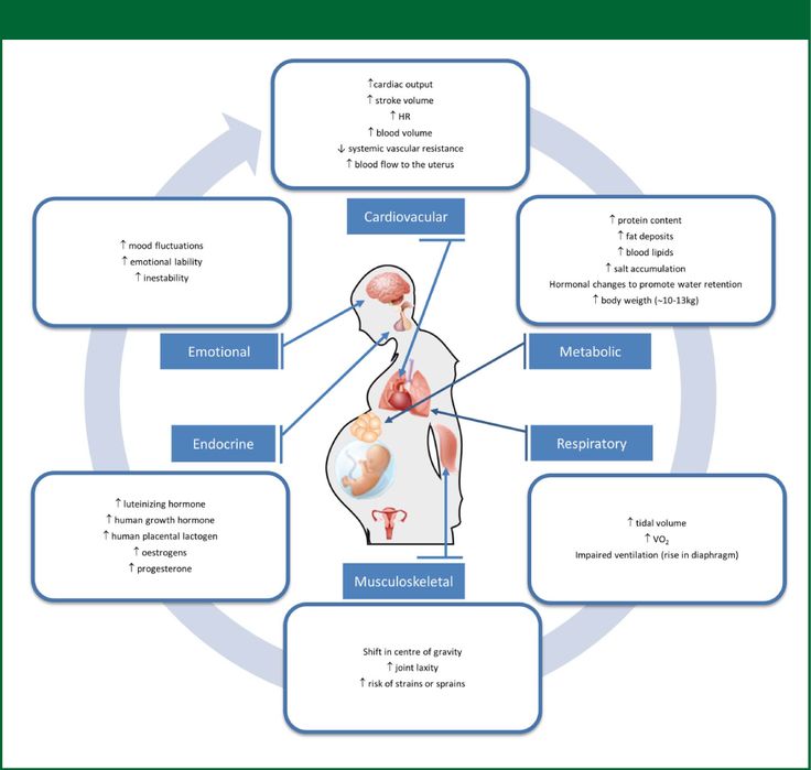 Maternal Physiologic Adaptations to Pregnancy