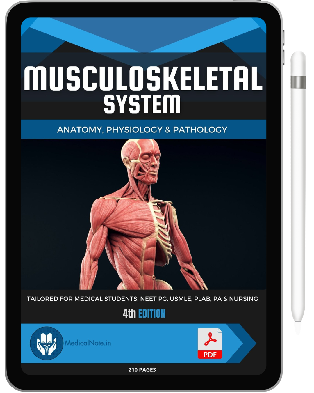 All 21 Medical Notes Bundle (80% Discount)