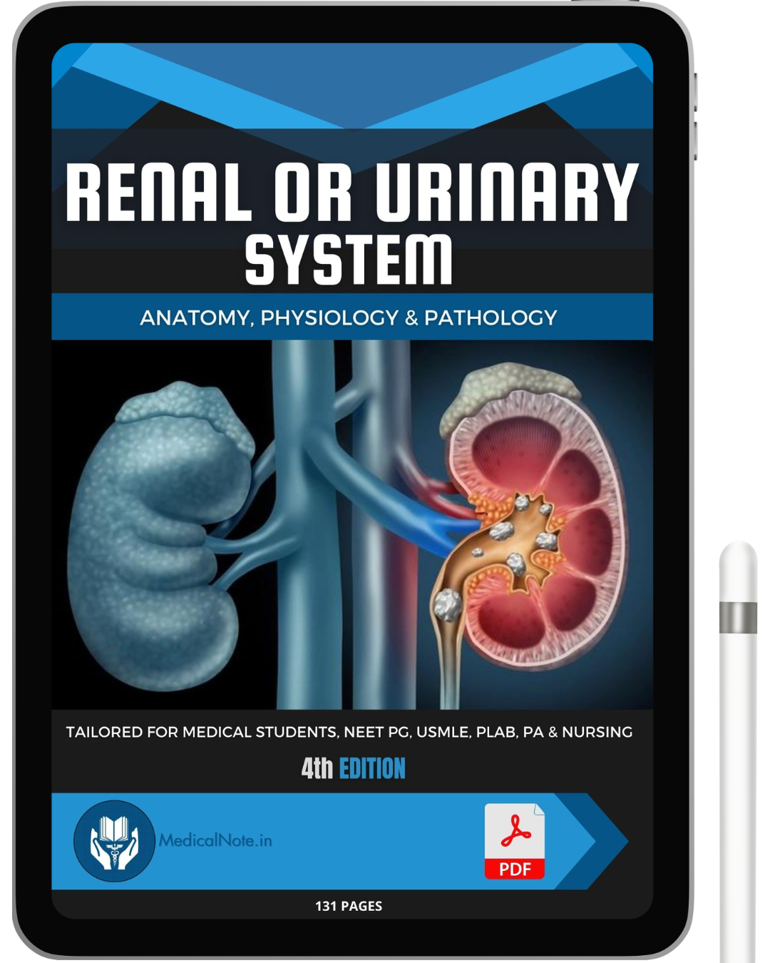 All 21 Medical Notes Bundle (80% Discount)