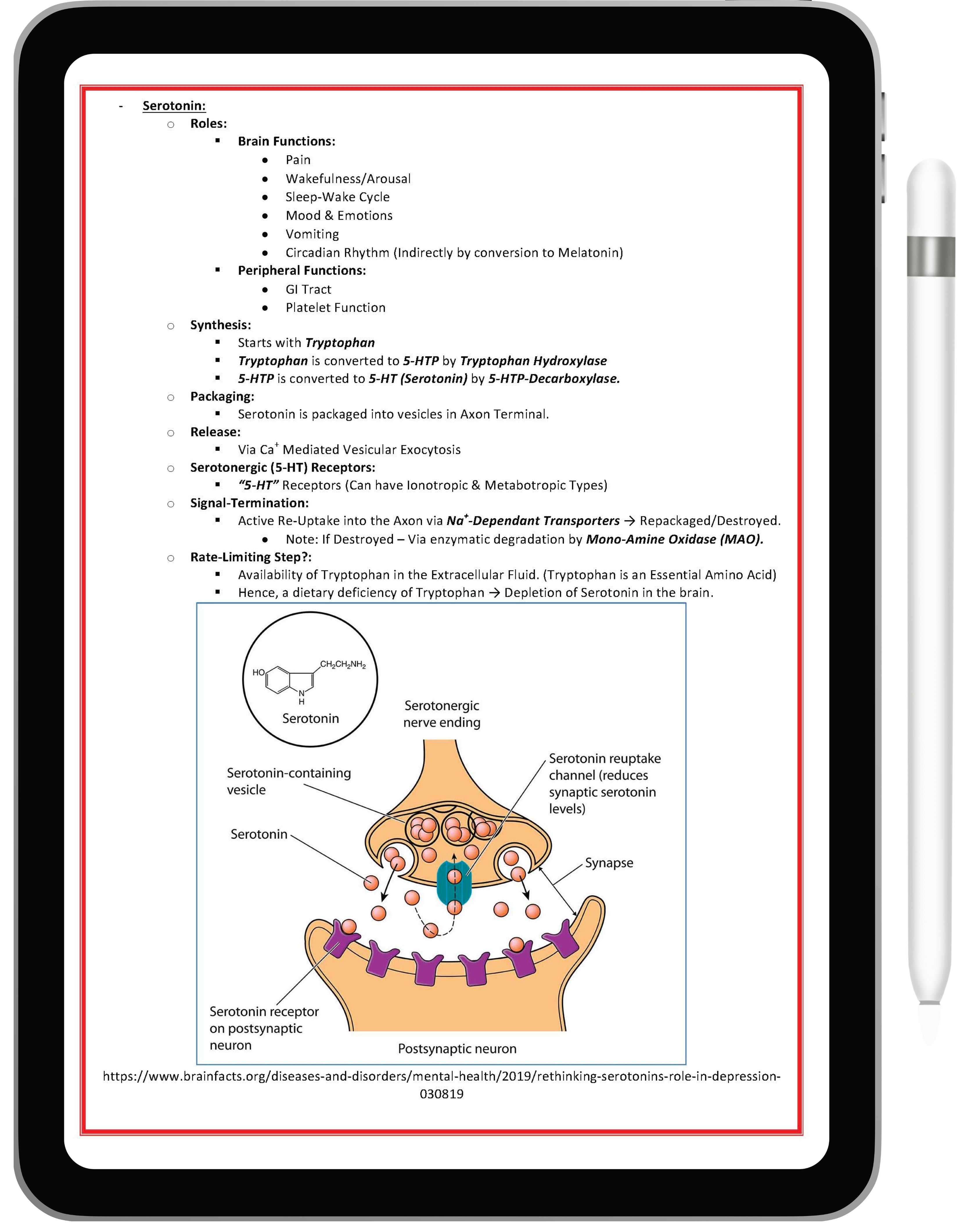 All 21 Medical Notes Bundle