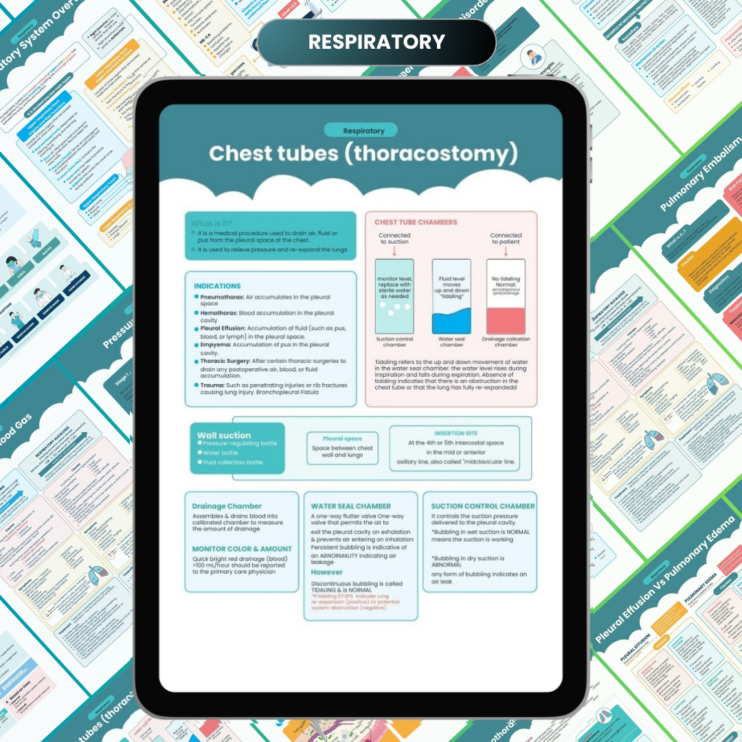 The Complete Nursing Notes Bundle