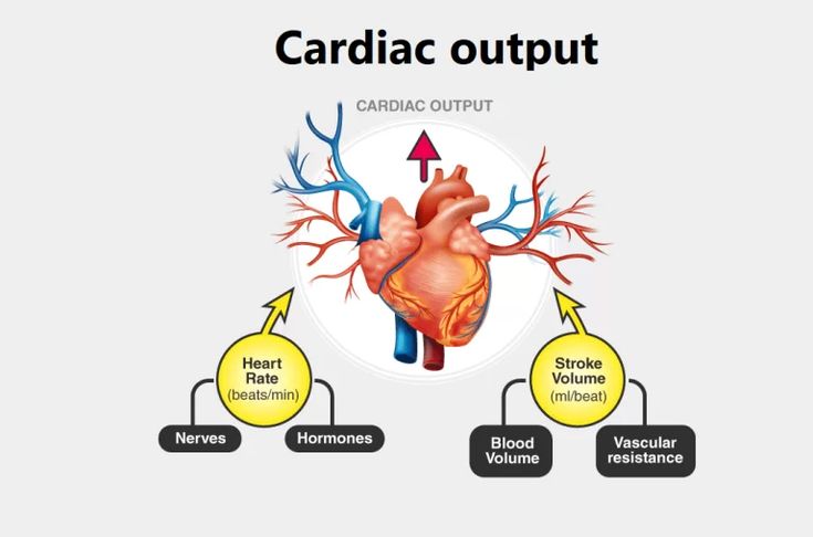 Cardiac Output: The Measure of Heart Efficiency