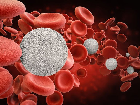 Leukemia: A Detailed Overview for Medical Students