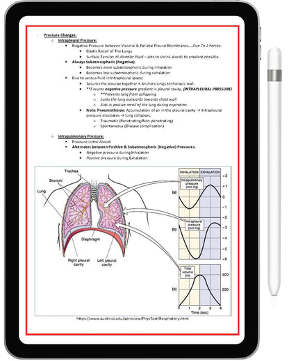 Respiratory System