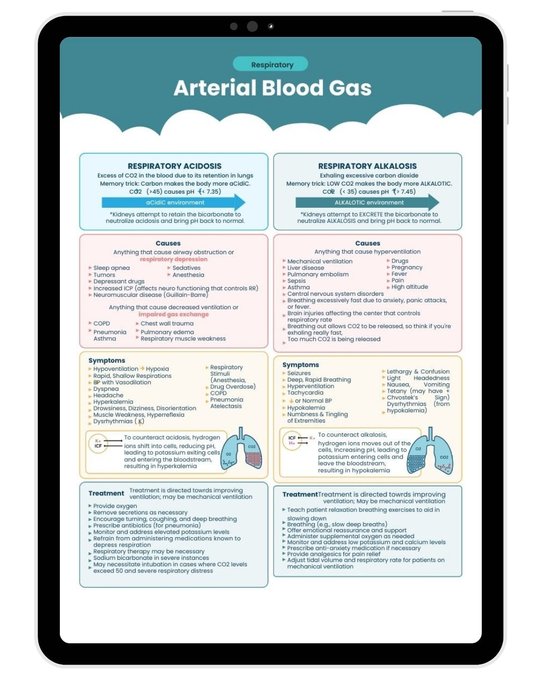 The Complete Nursing Notes Bundle