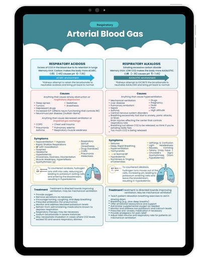 The Complete Nursing Notes Bundle