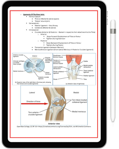 Musculoskeletal System