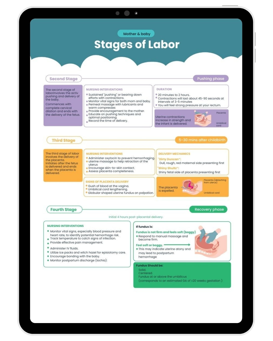 The Complete Nursing Notes Bundle