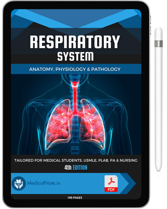 Respiratory System