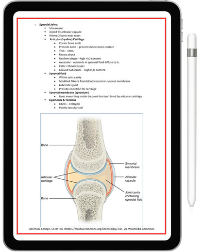 Musculoskeletal System