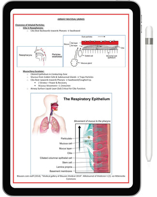 Medical Notes Nz Medical Notes & Exam Prep Resources | MedicalNote.in