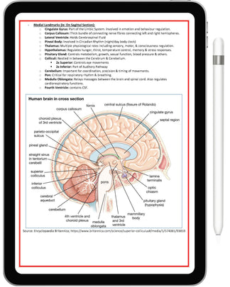 Subtotal Medical Notes Medical Notes & Exam Prep Resources | MedicalNote.in