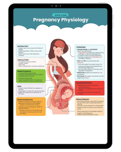 The Complete Nursing Notes Bundle