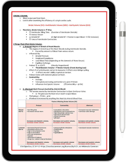 All 21 Medical Notes Bundle