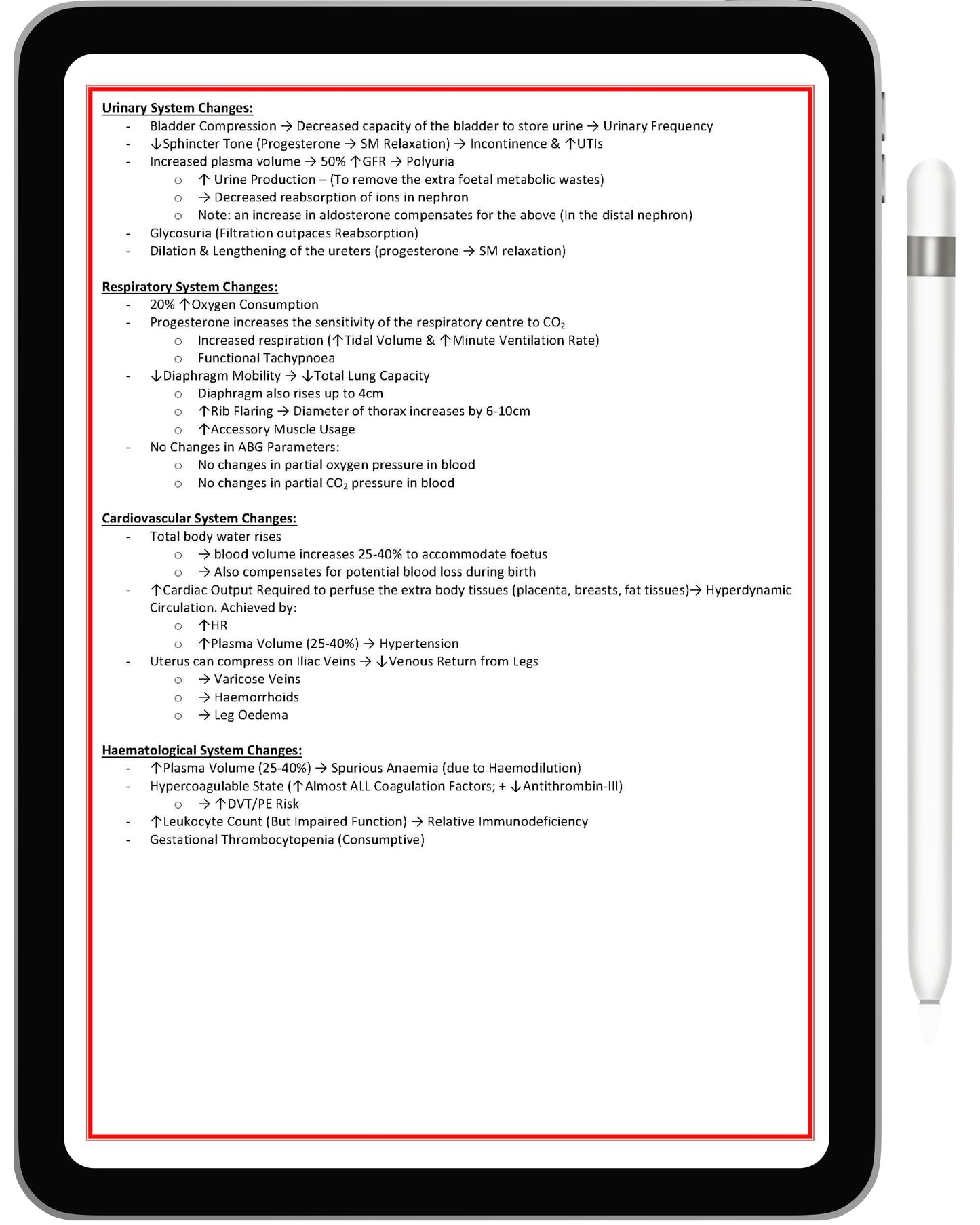 All 21 Medical Notes Bundle