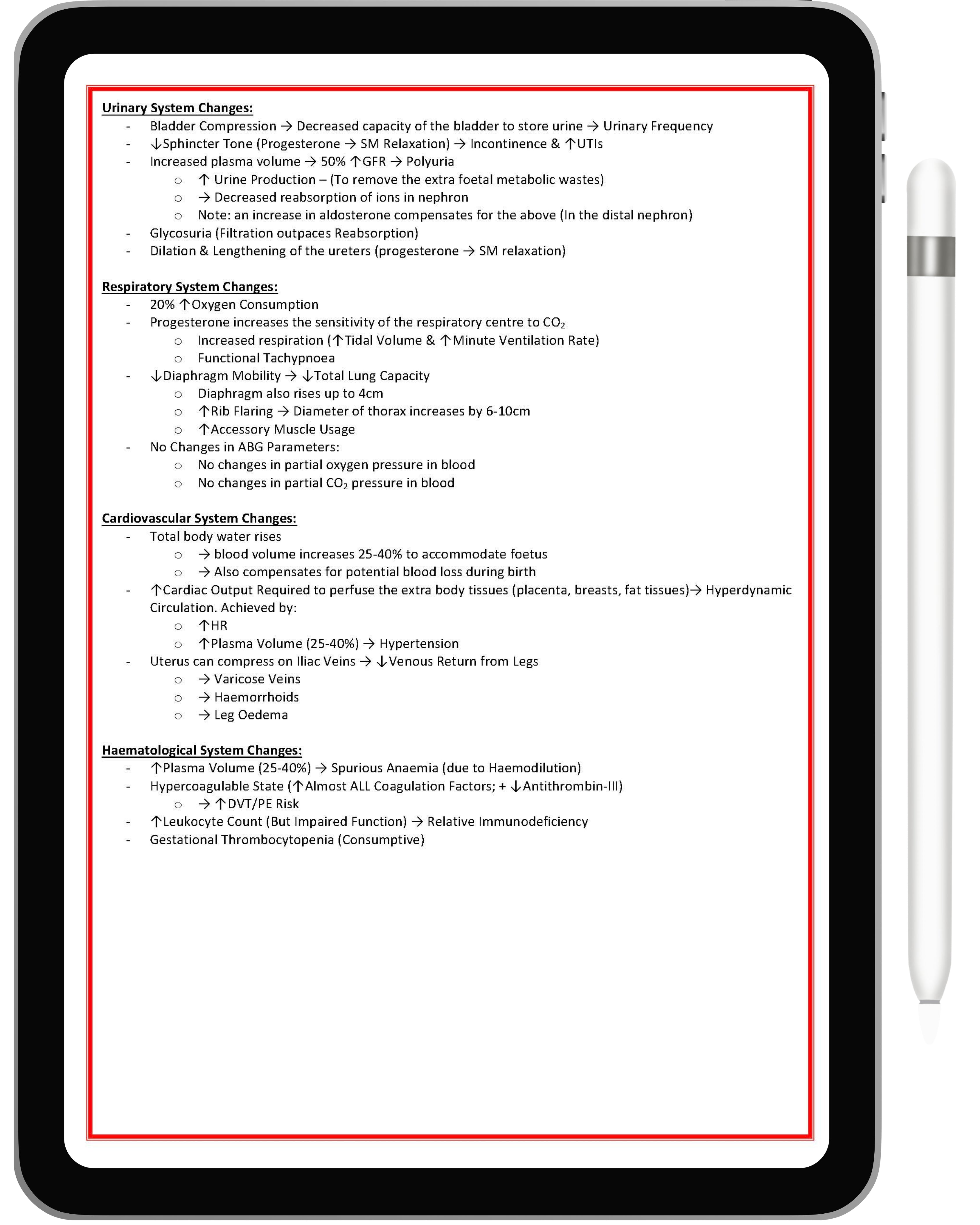 All 21 Medical Notes Bundle