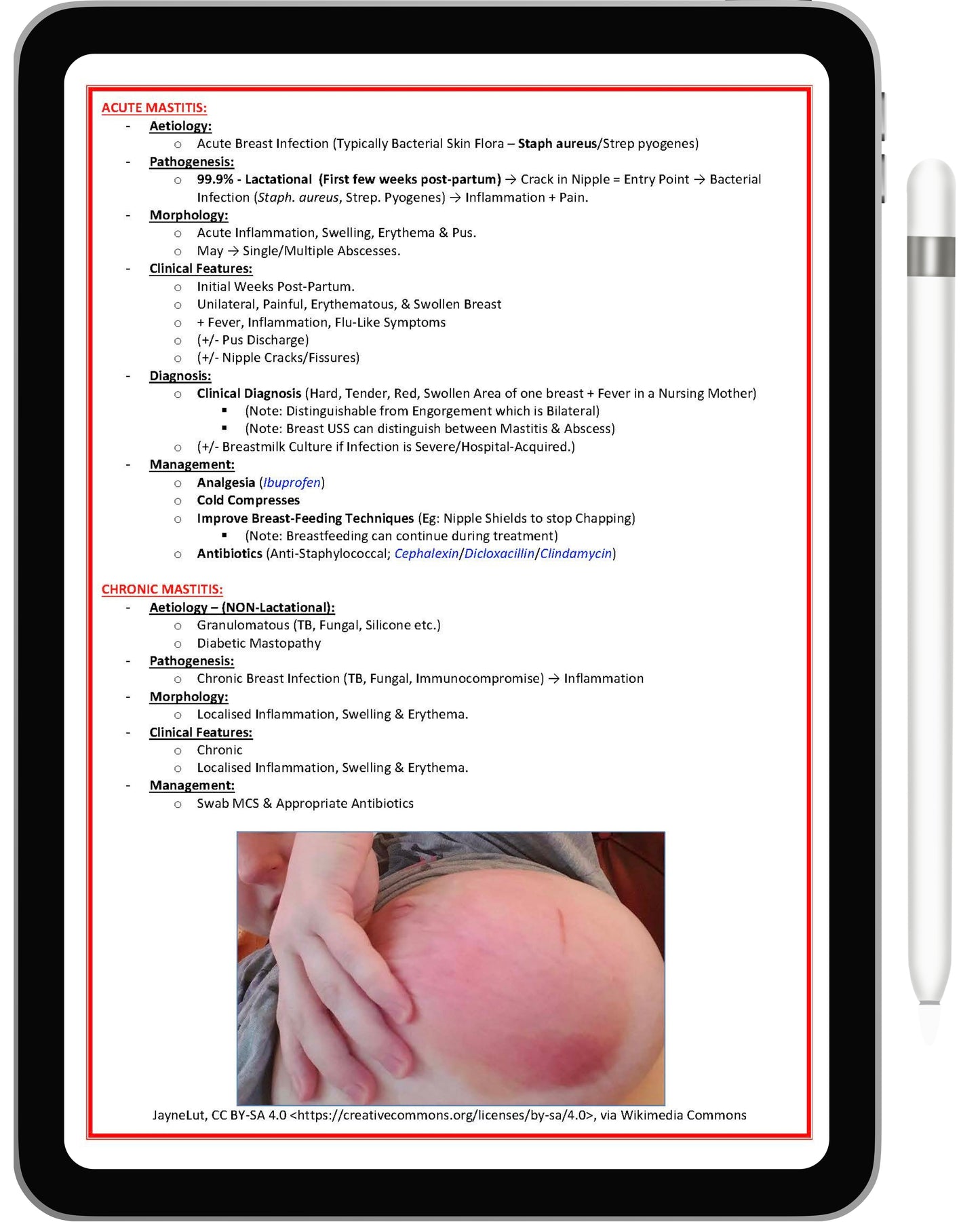 All 21 Medical Notes Bundle