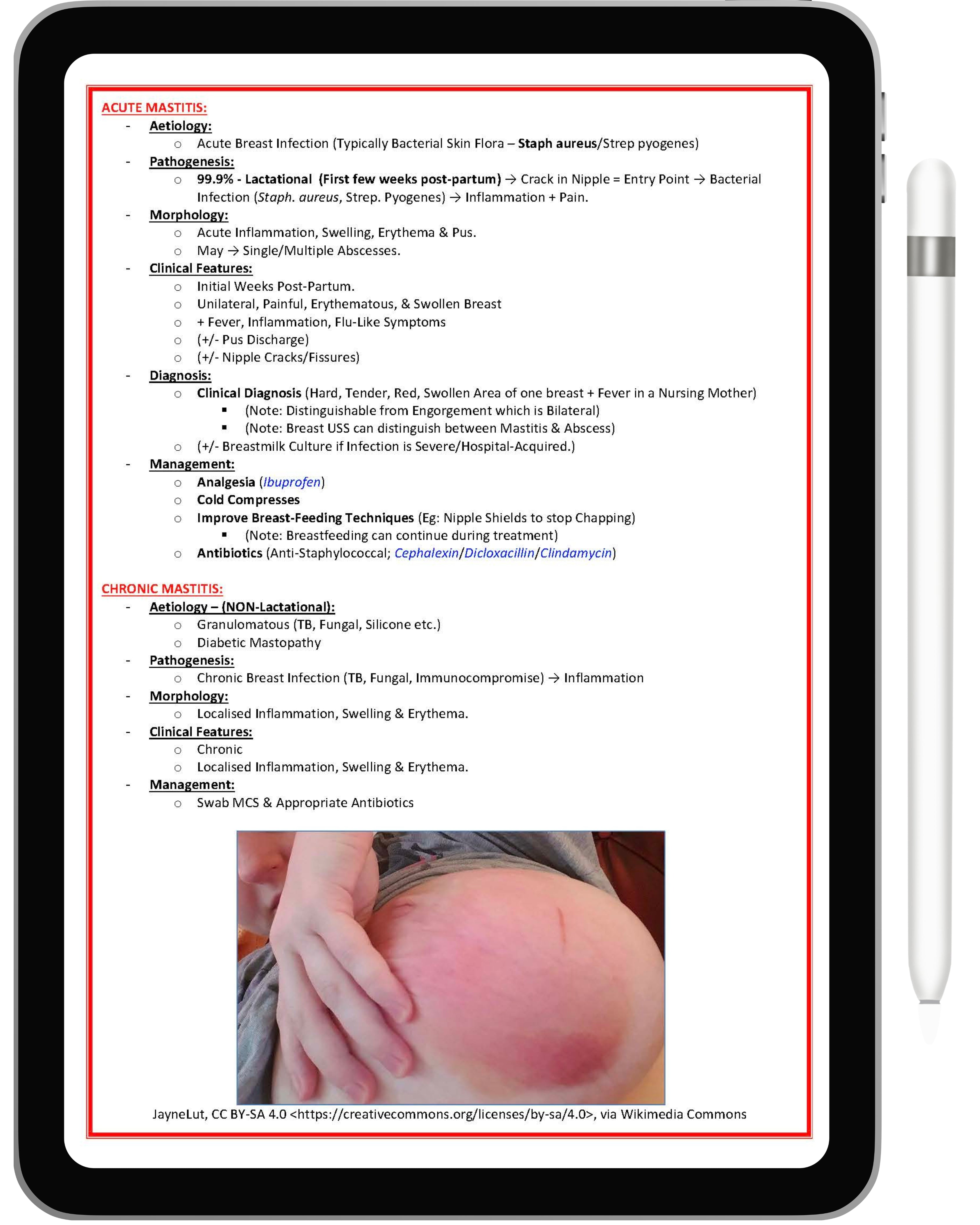 All 21 Medical Notes Bundle