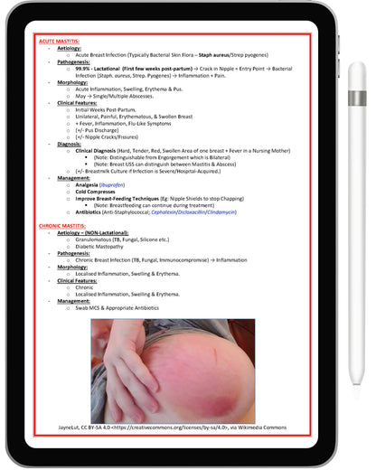 All 21 Medical Notes Bundle