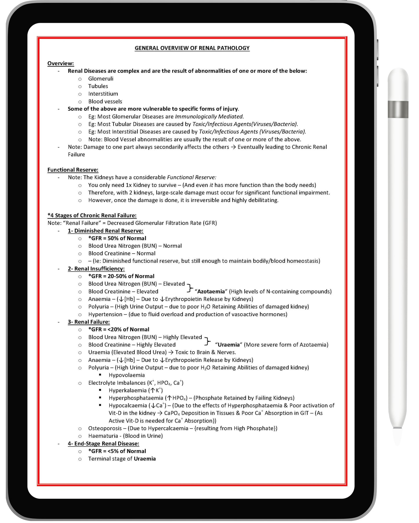 All 21 Medical Notes Bundle