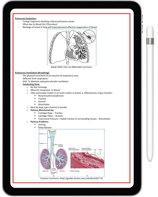 Medical Notes Nz Medical Notes & Exam Prep Resources | MedicalNote.in
