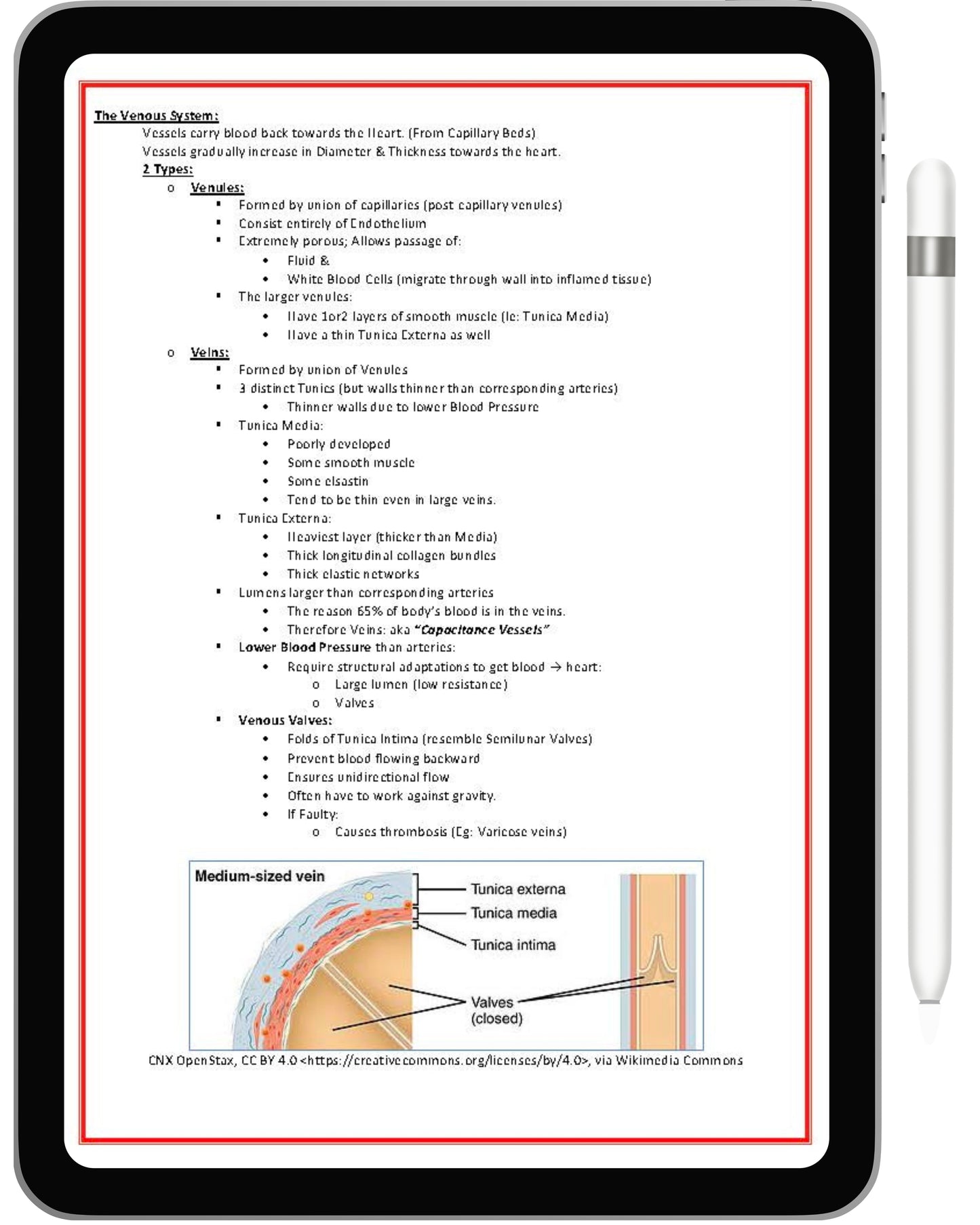 All 21 Medical Notes + All 15 Practice exam Bundle