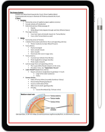 All 21 Medical Notes + All 15 Practice exam Bundle