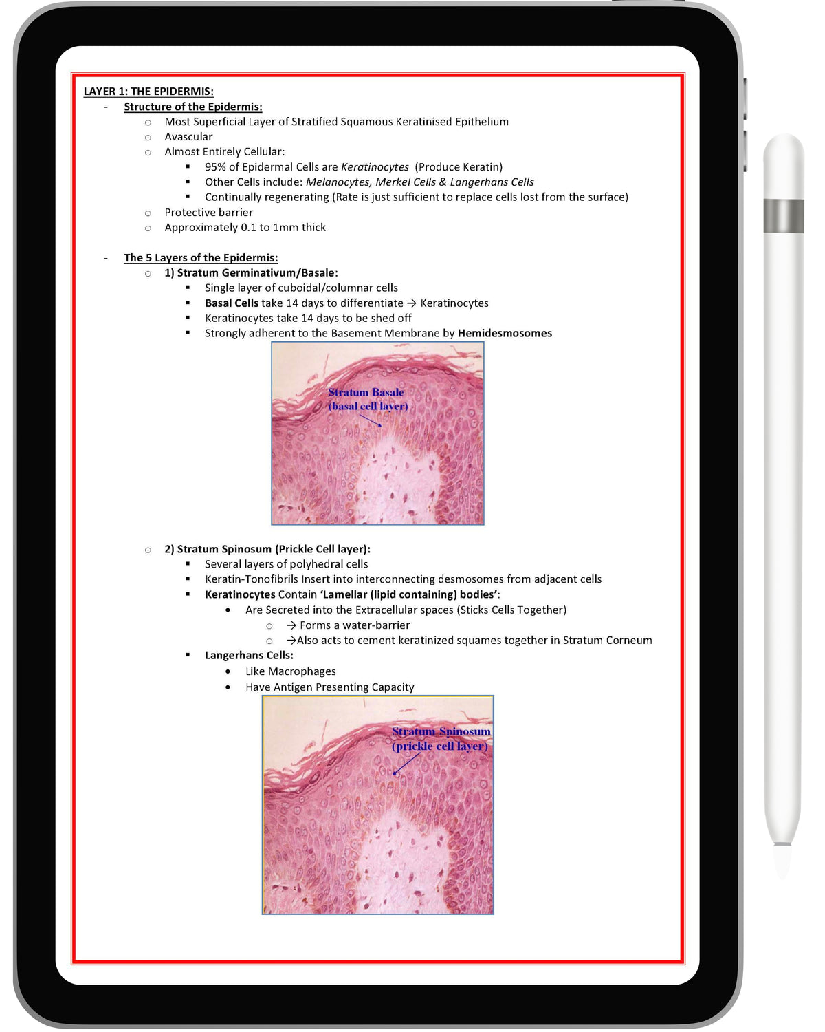 How To Document Rash Clinical Dermatology