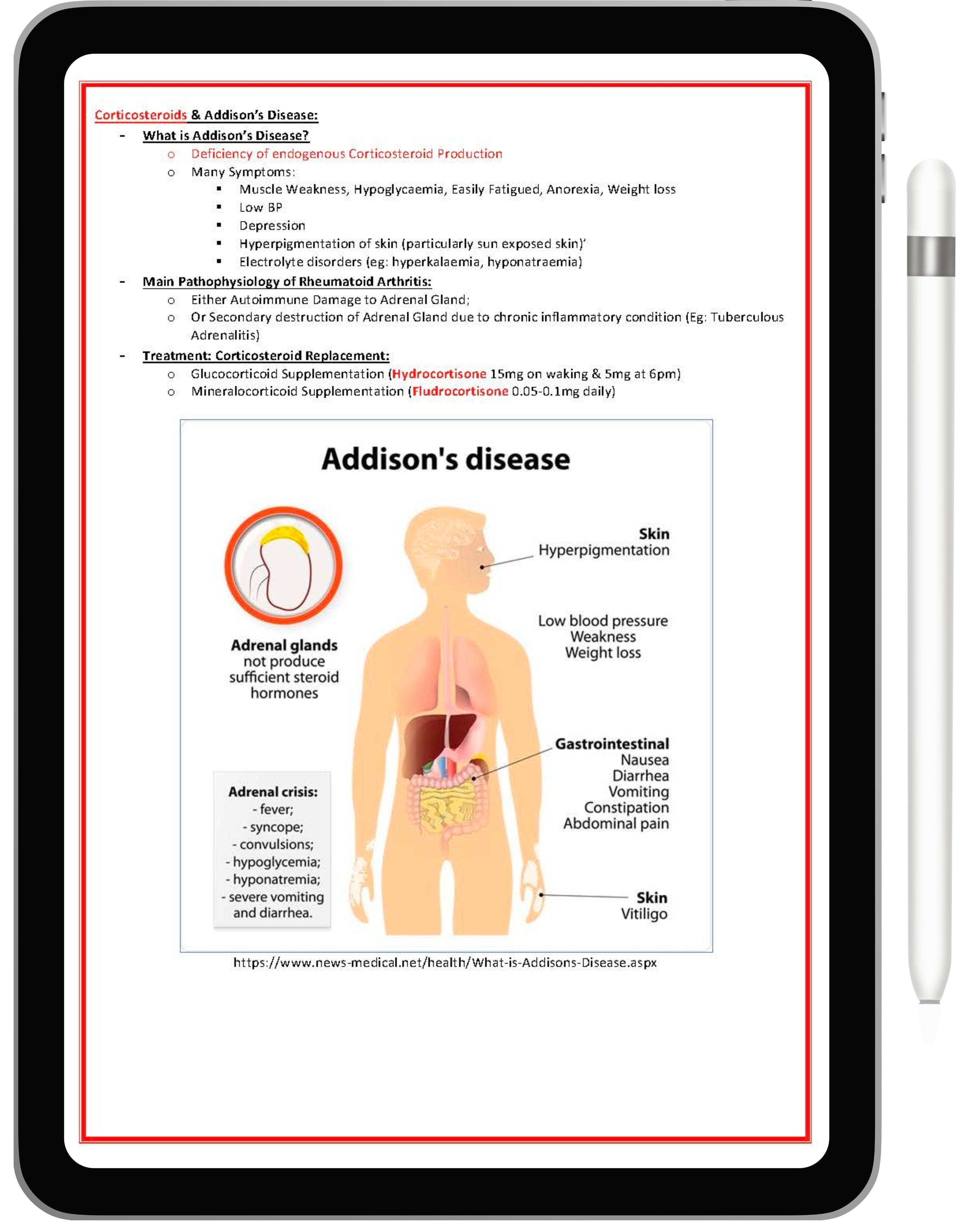 All 21 Medical Notes Bundle