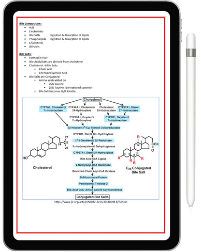 Gastrointestinal System