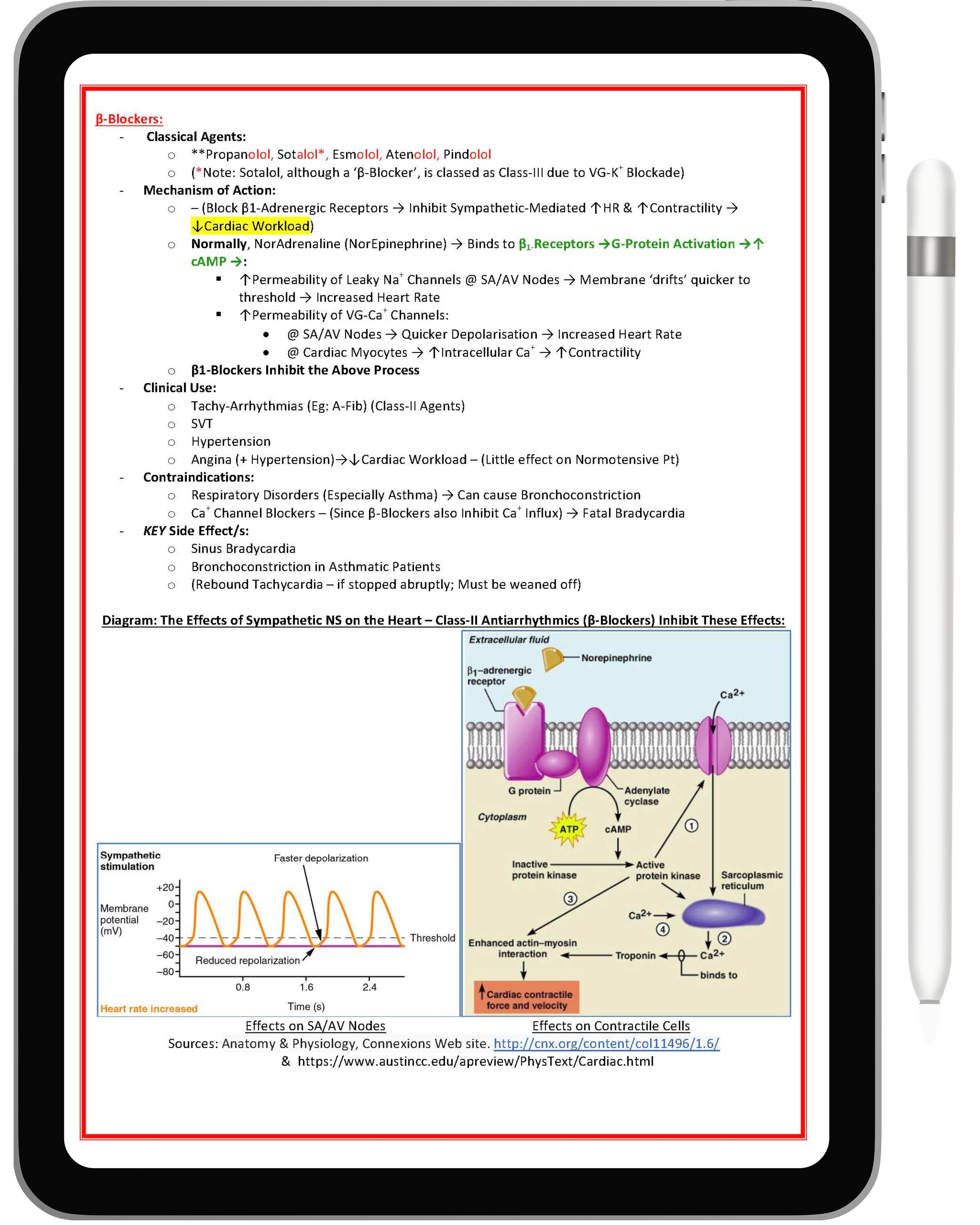 Pharmacology & Toxicology