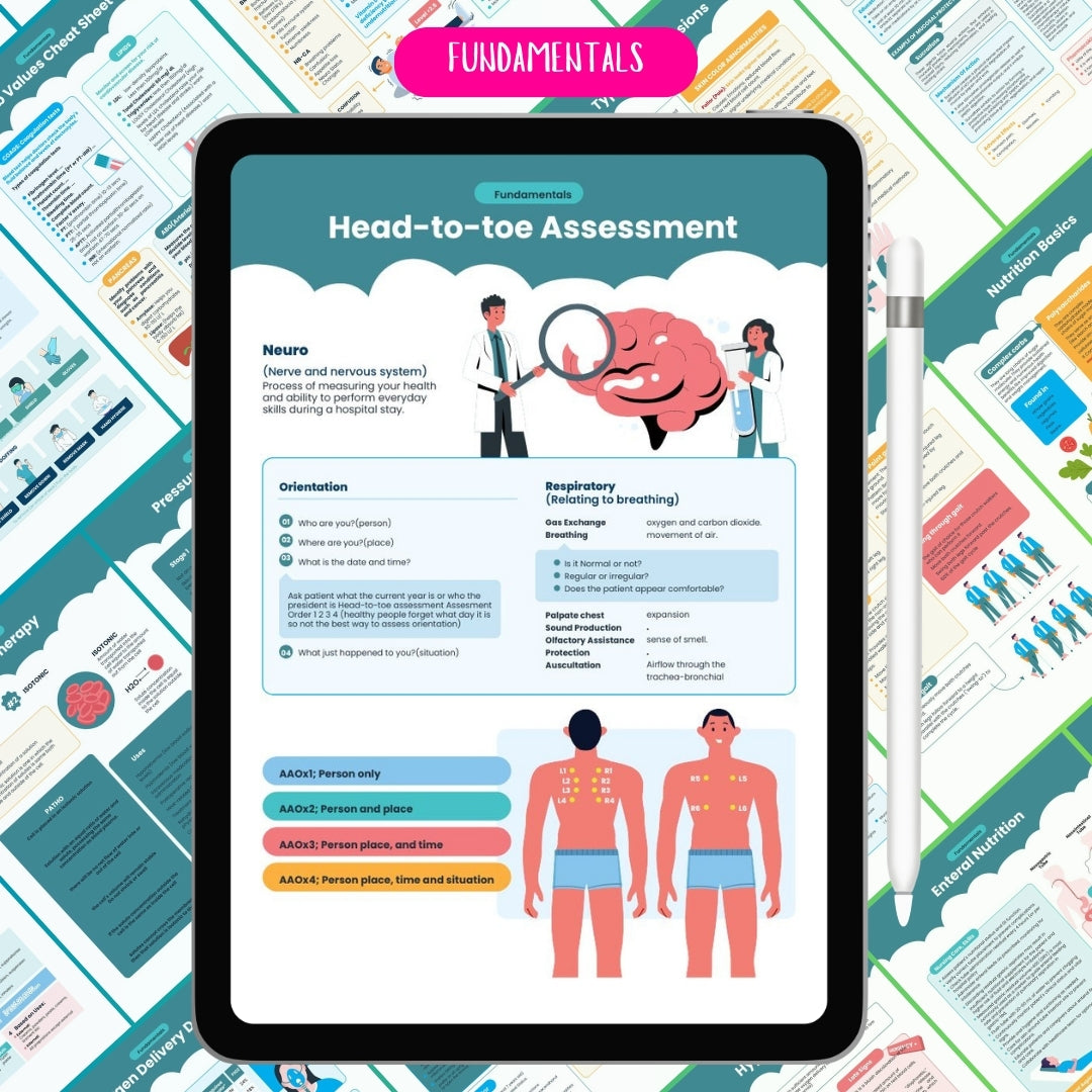 Ultimate Nursing School Bundle