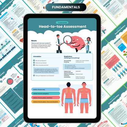 The Complete Nursing Notes Bundle