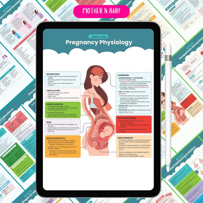 Ultimate Nursing School Bundle