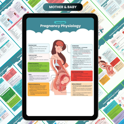 The Complete Nursing Notes Bundle