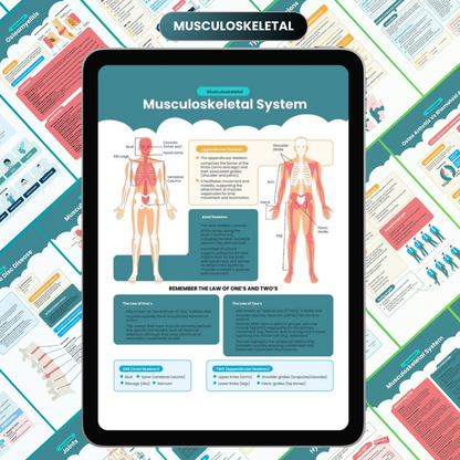The Complete Nursing Notes Bundle