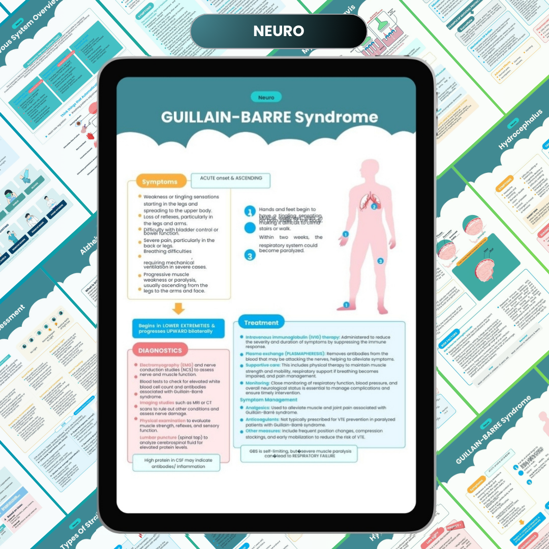 The Complete Nursing Notes Bundle