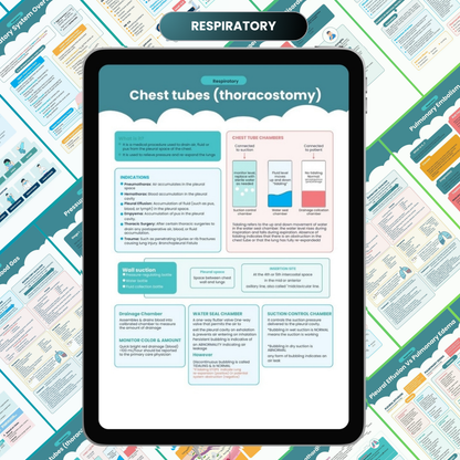 The Complete Nursing Notes Bundle