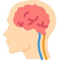 Memory Aids & Mnemonics